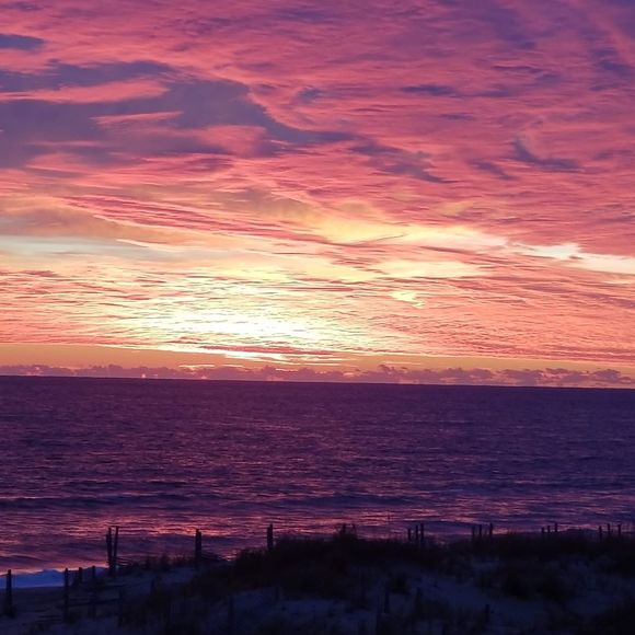 Meet your Posher, Steven - Picture 1 of 1